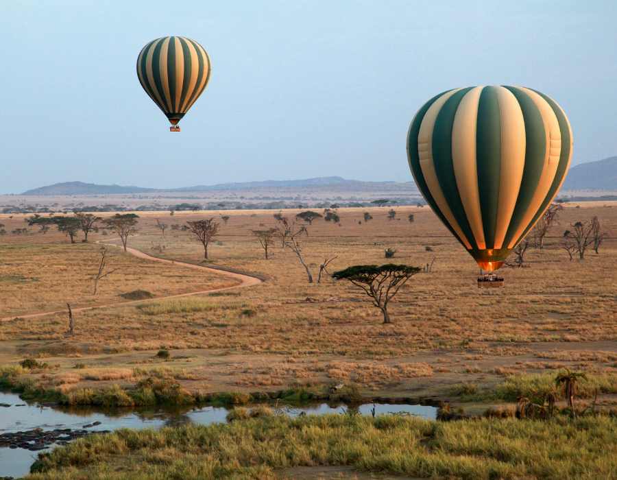 Hot-Air Balloon Safaris