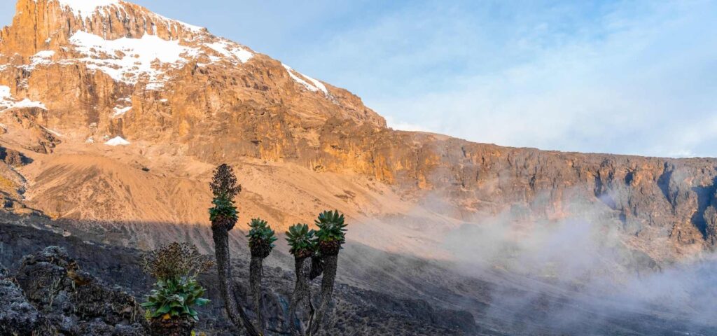 8 Days Lemosho Route Kilimanjaro Climb