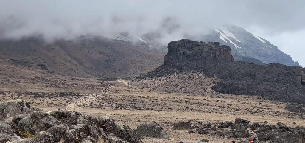 7 Days Machame Route Kilimanjaro Climb