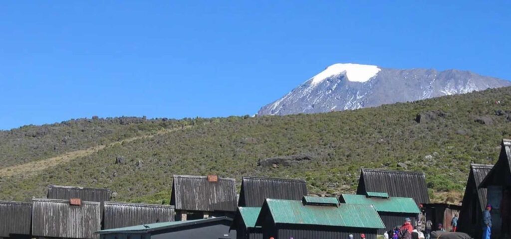 8 Days Marangu Route and Tanzania Safari Adventure