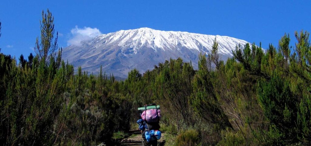 7 Days Rongai Route Kilimanjaro Climb