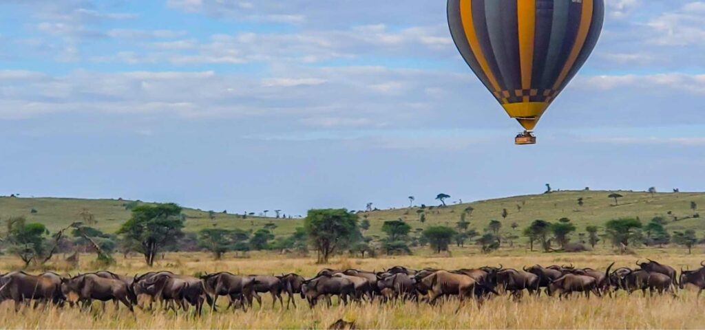 7 Days Great Migration and Hot-Air Balloon Safari