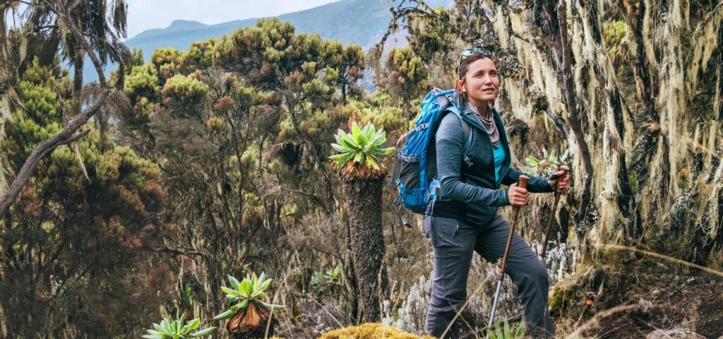 7 Days Umbwe Route Kilimanjaro Climb