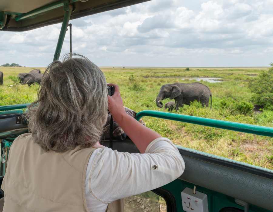 Why Serengeti National Park Should Be on Your Bucket List