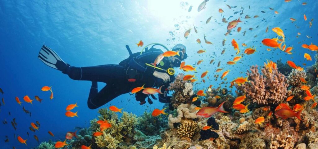 Mnemba Island Snorkeling Tour